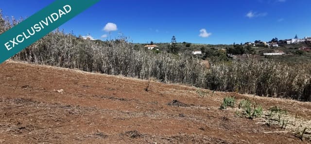 Terreno/Finca Rústica en San Lorenzo, Las Palmas de Gran Canaria en venta - 69.000 € (Ref: 9595550)