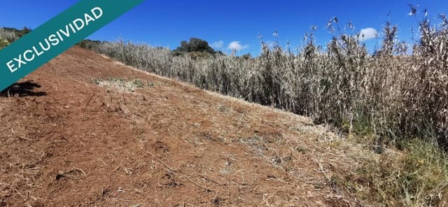 Terreno/Finca Rústica en San Lorenzo, Las Palmas de Gran Canaria en venta - 69.000 € (Ref: 9595550)