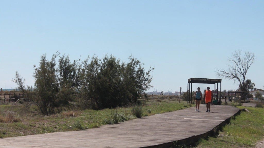 Tomt till salu i Almenara - 1 970 000 € (Ref: 9595565)