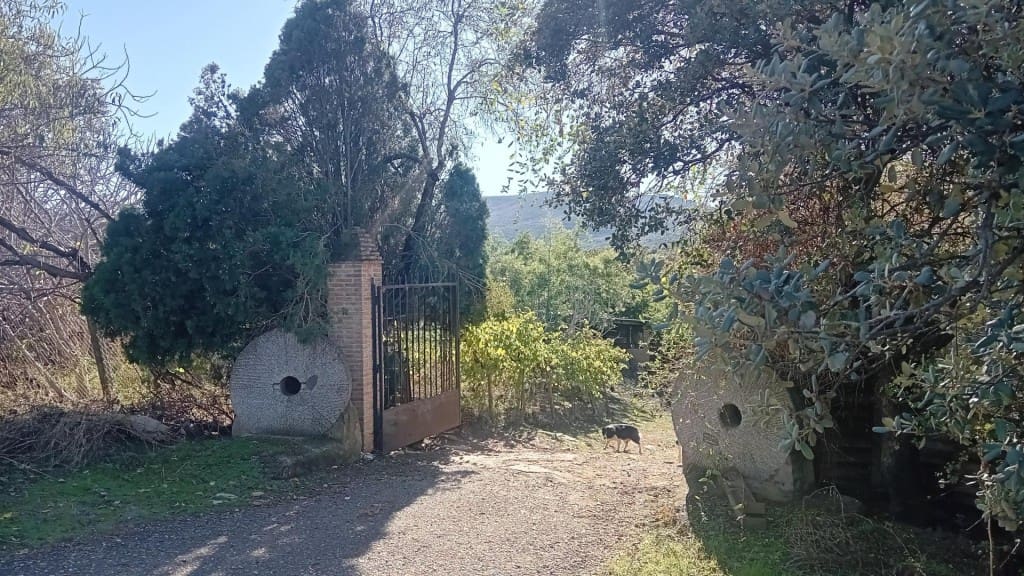 Landgrundstück zu verkaufen in Los Navalucillos - 180.000 € (Ref: 9595583)