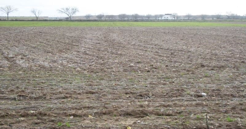 Undeveloped Land for sale in Villarrubia de Santiago - € 37,000 (Ref: 9595586)