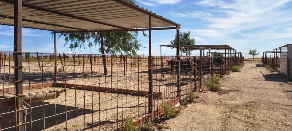 1 bedroom Finca/Country House for sale in Pulgar - € 320,000 (Ref: 9595589)