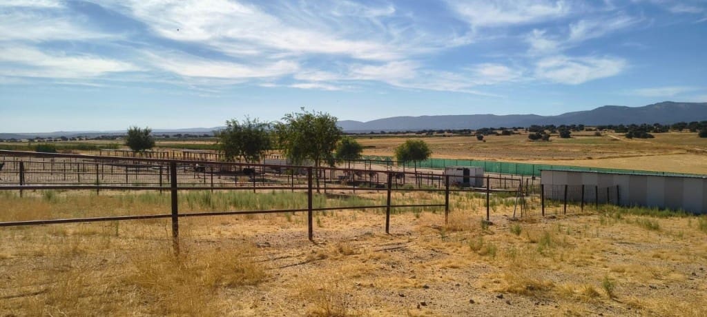 1 bedroom Finca/Country House for sale in Pulgar - € 320,000 (Ref: 9595589)