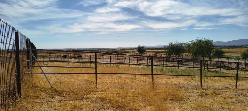 1 bedroom Finca/Country House for sale in Pulgar - € 320,000 (Ref: 9595589)