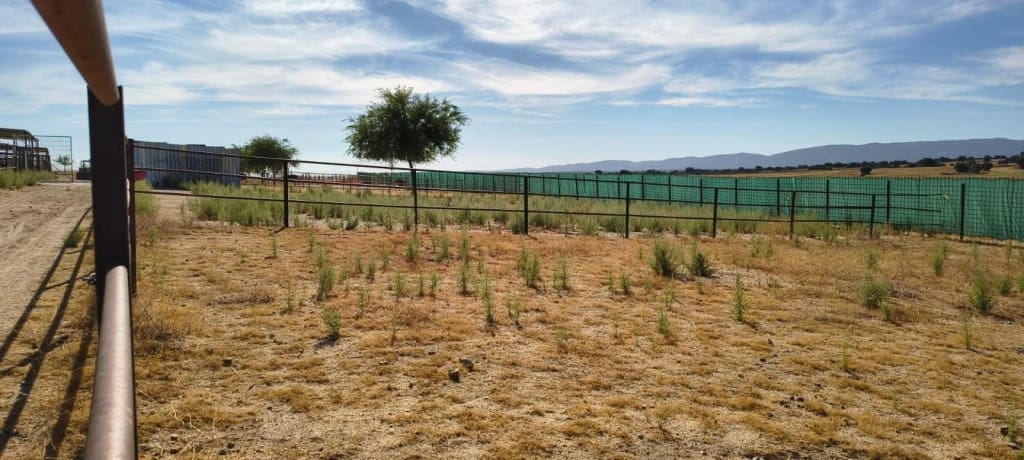 1 bedroom Finca/Country House for sale in Pulgar - € 320,000 (Ref: 9595589)