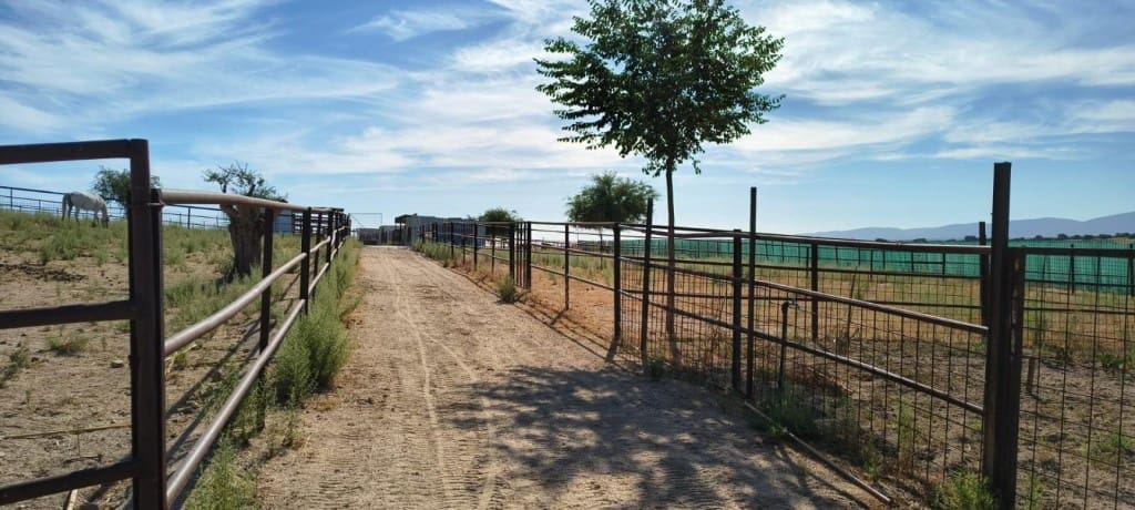 1 bedroom Finca/Country House for sale in Pulgar - € 320,000 (Ref: 9595589)