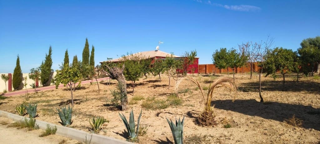 1 bedroom Finca/Country House for sale in Pulgar - € 320,000 (Ref: 9595589)