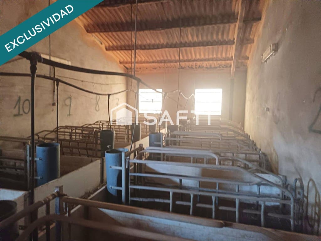 Teren niezagospodarowany na sprzedaż w Los Navalucillos - 99 000 € (Ref: 9595594)