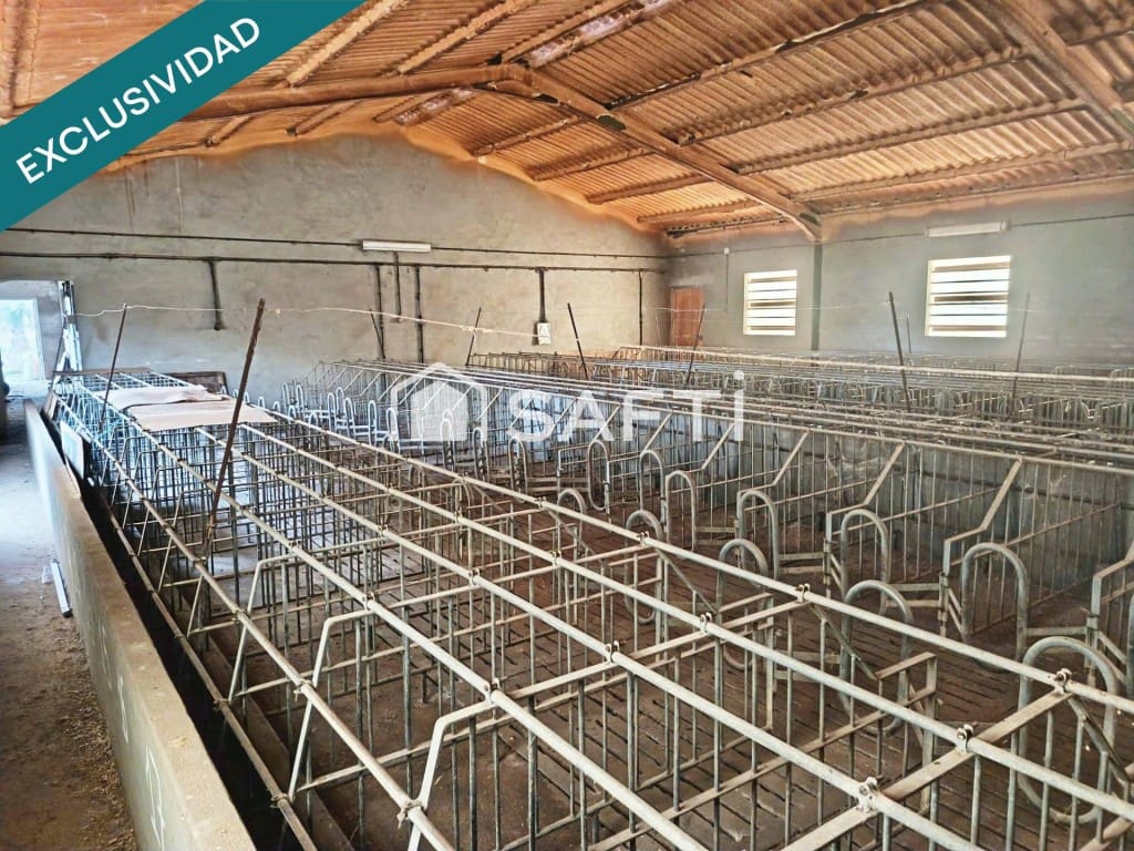 Teren niezagospodarowany na sprzedaż w Los Navalucillos - 99 000 € (Ref: 9595594)