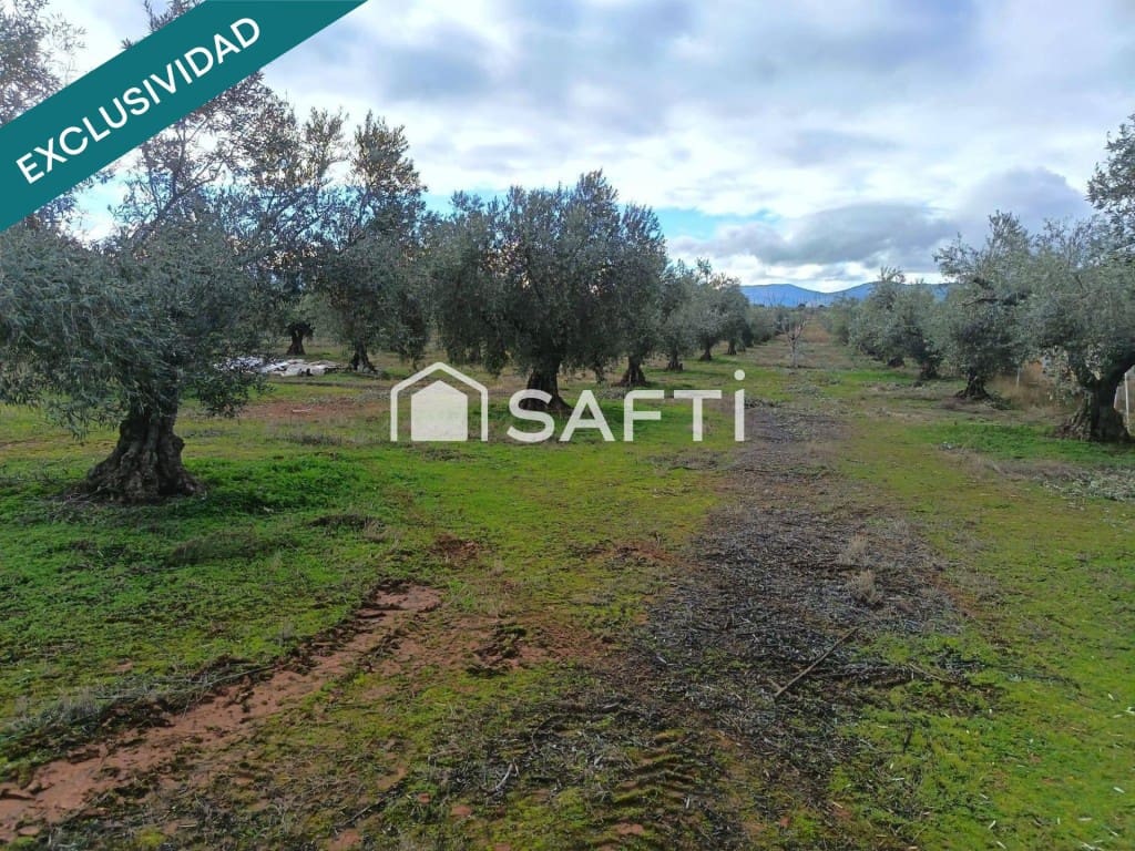 Teren niezagospodarowany na sprzedaż w Los Navalucillos - 99 000 € (Ref: 9595594)