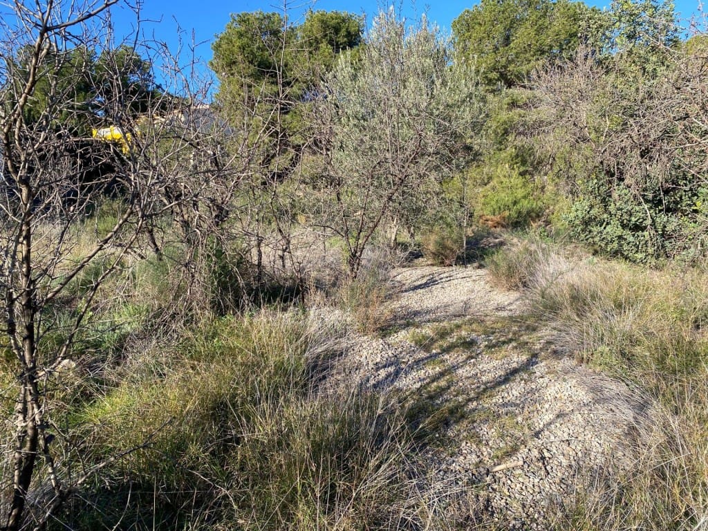 Building Plot for sale in Casinos - € 83,300 (Ref: 9595597)