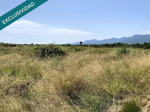 Undeveloped Land for sale in Polinyà de Xúquer - € 18,000 (Ref: 9595600)