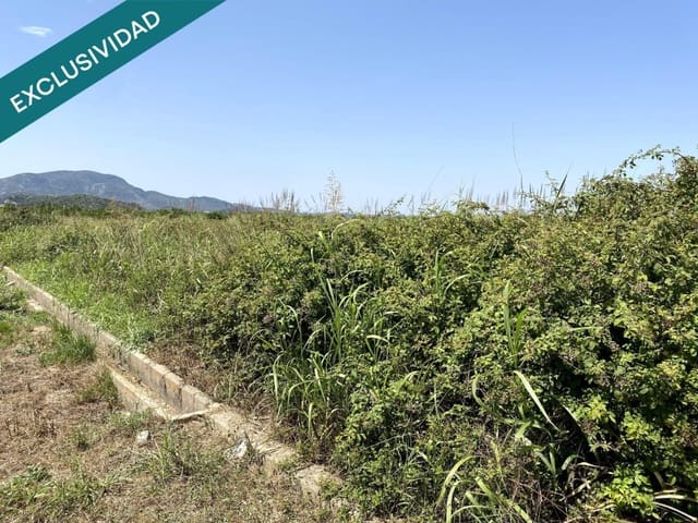 Undeveloped Land for sale in Polinyà de Xúquer - € 18,000 (Ref: 9595600)