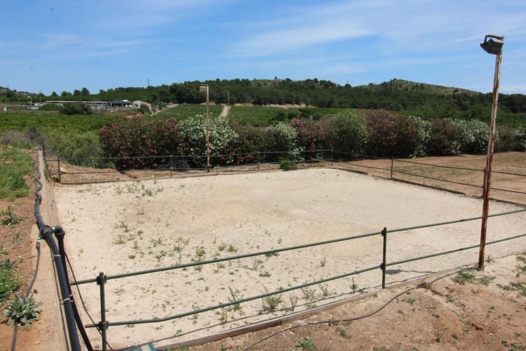 Undeveloped Land for sale in Almenara - € 650,000 (Ref: 9595604)