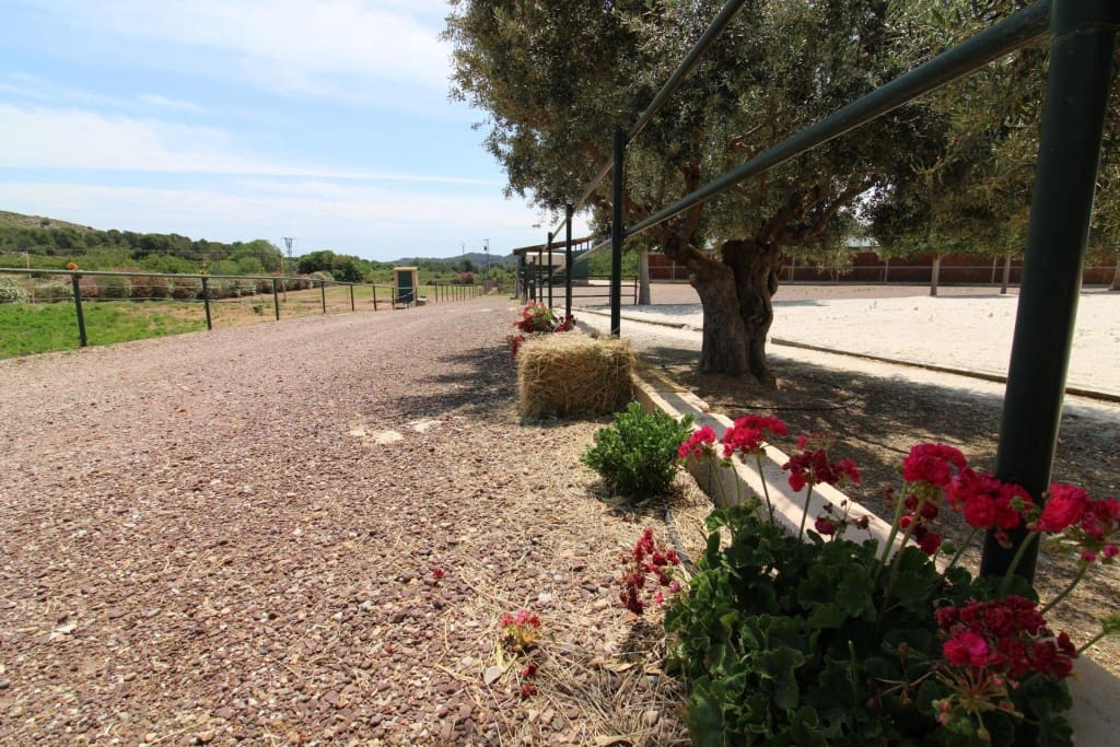 Undeveloped Land for sale in Almenara - € 650,000 (Ref: 9595604)