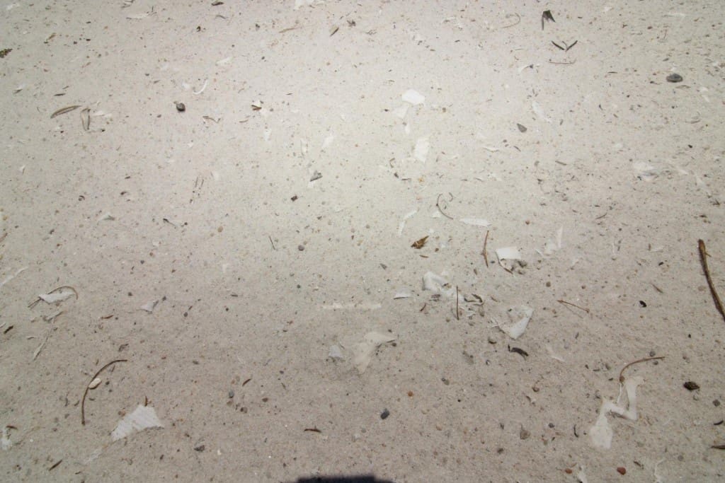 Undeveloped Land for sale in Almenara - € 650,000 (Ref: 9595604)