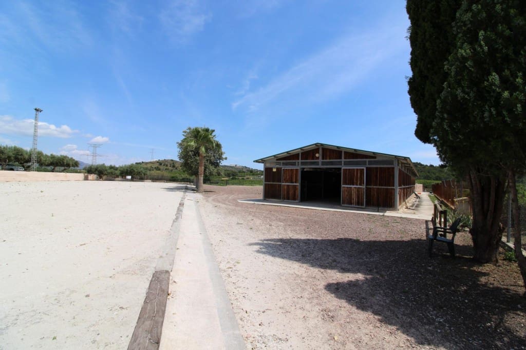 Undeveloped Land for sale in Almenara - € 650,000 (Ref: 9595604)