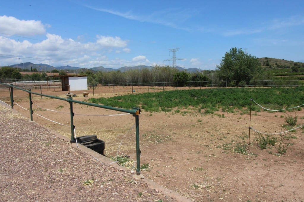 Undeveloped Land for sale in Almenara - € 650,000 (Ref: 9595604)