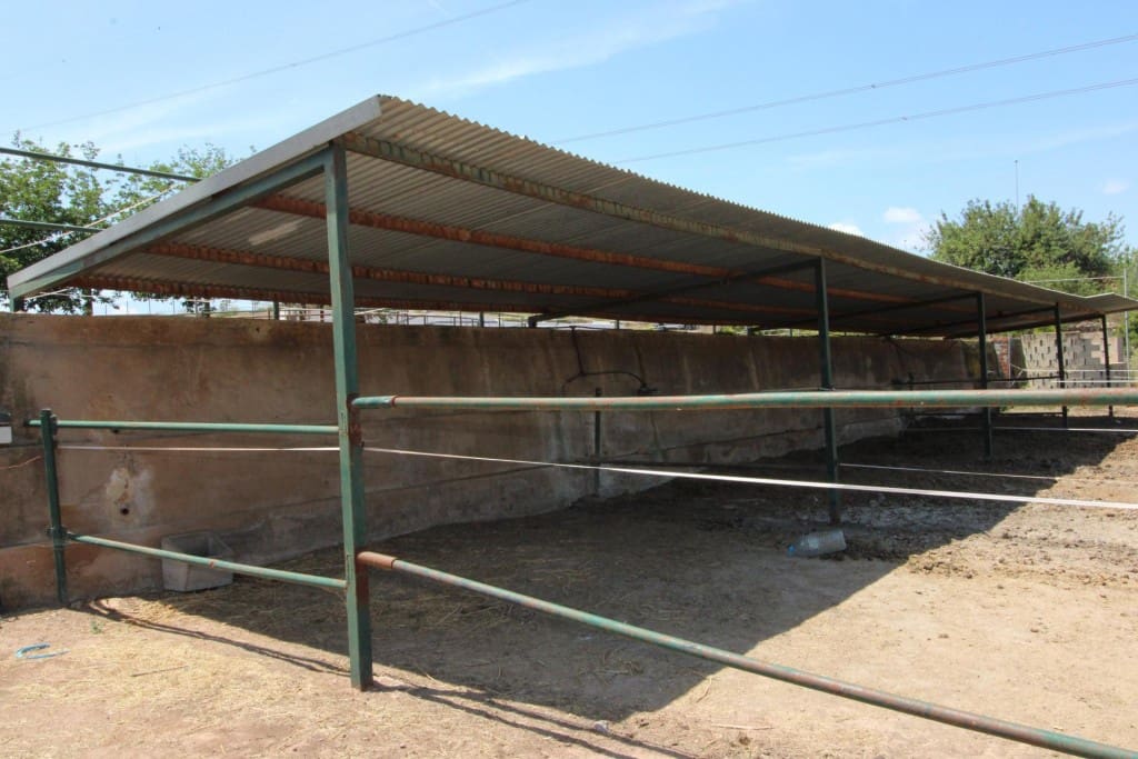 Undeveloped Land for sale in Almenara - € 650,000 (Ref: 9595604)