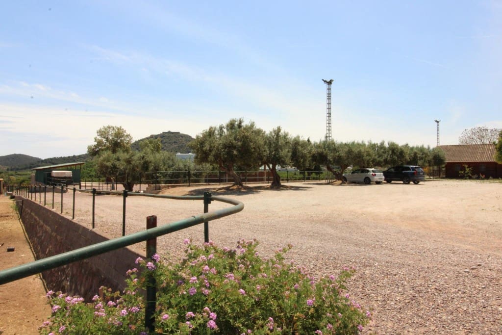 Undeveloped Land for sale in Almenara - € 650,000 (Ref: 9595604)