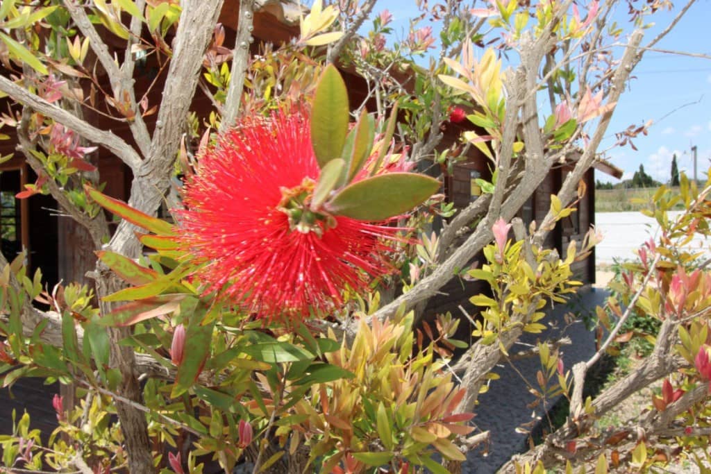 Undeveloped Land for sale in Almenara - € 650,000 (Ref: 9595604)