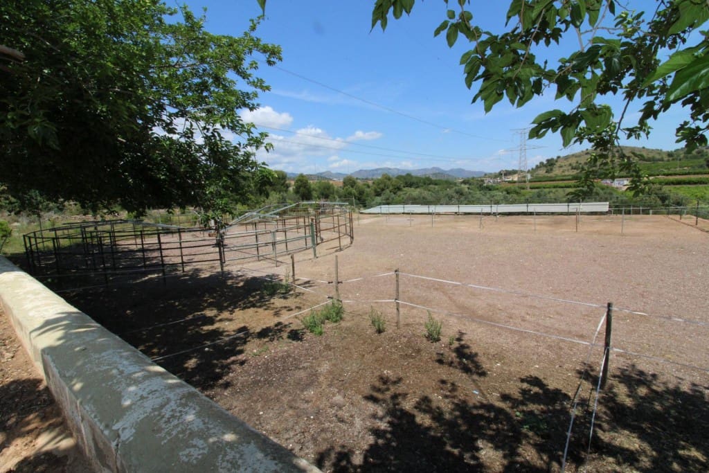 Undeveloped Land for sale in Almenara - € 650,000 (Ref: 9595604)