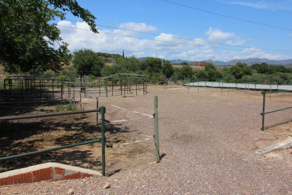 Undeveloped Land for sale in Almenara - € 650,000 (Ref: 9595604)