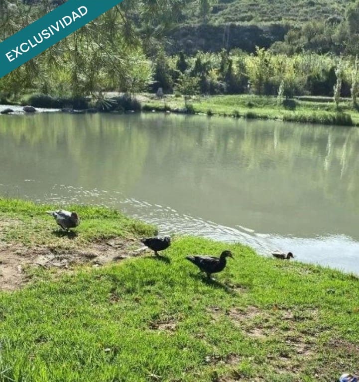 4 sovrum Villa till salu i Bugarra - 125 000 € (Ref: 9595614)