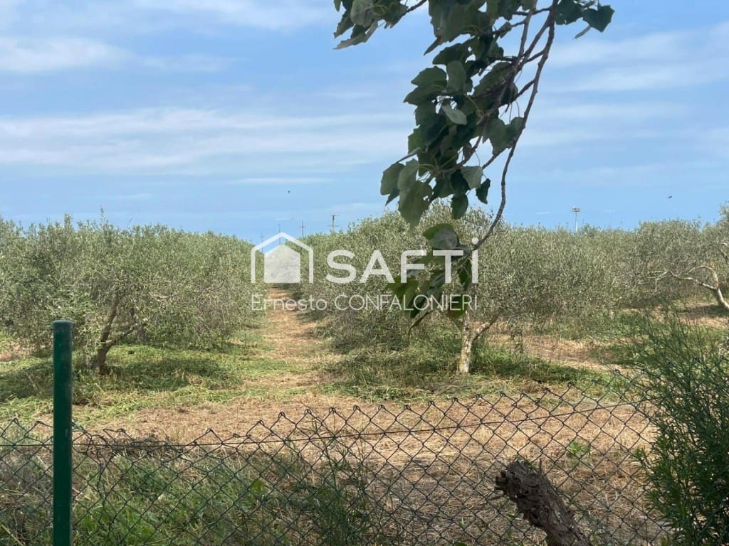 Undeveloped Land for sale in Amposta - € 129,000 (Ref: 9595660)