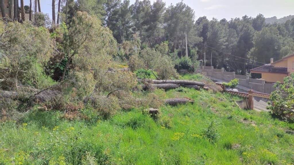 Byggetomt til salgs i Cabrera d'Anoia - € 17 500 (Ref: 9595681)