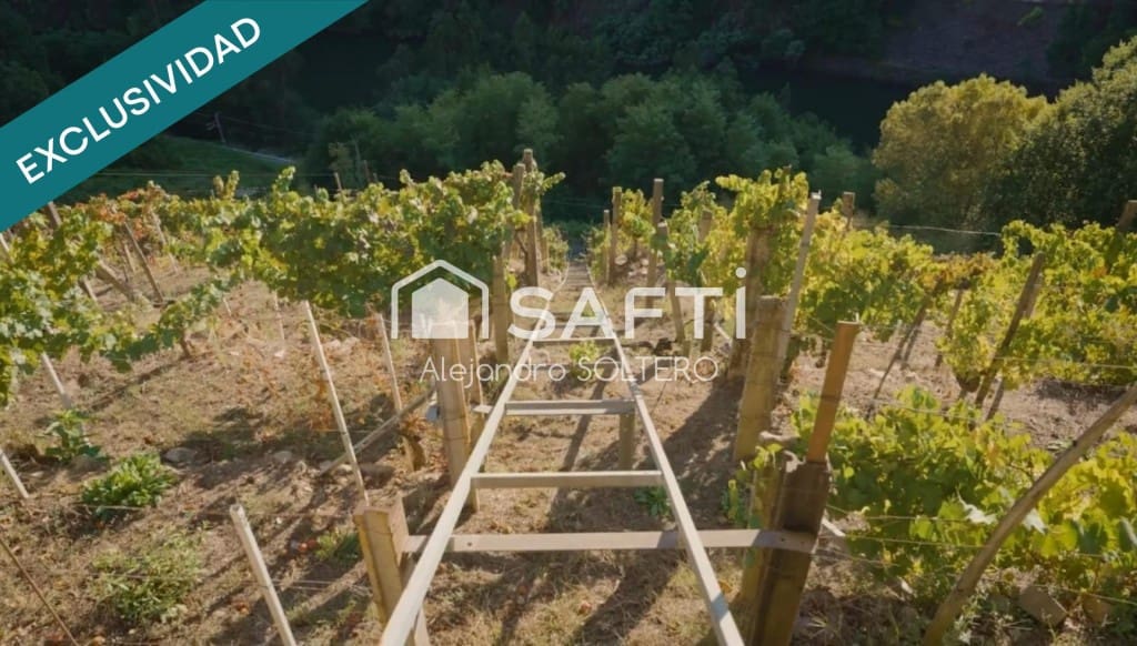 Terre non Aménagée à vendre à Panton - 45 000 € (Ref: 9595722)