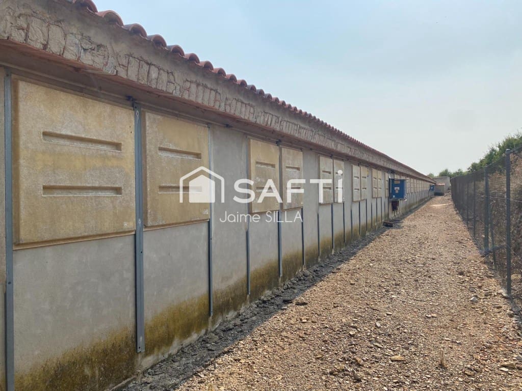 Undeveloped Land for sale in Alcublas - € 120,000 (Ref: 9595749)