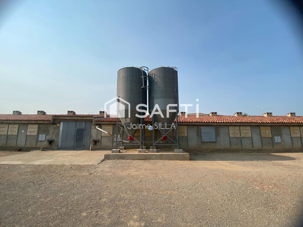 Undeveloped Land for sale in Alcublas - € 120,000 (Ref: 9595749)