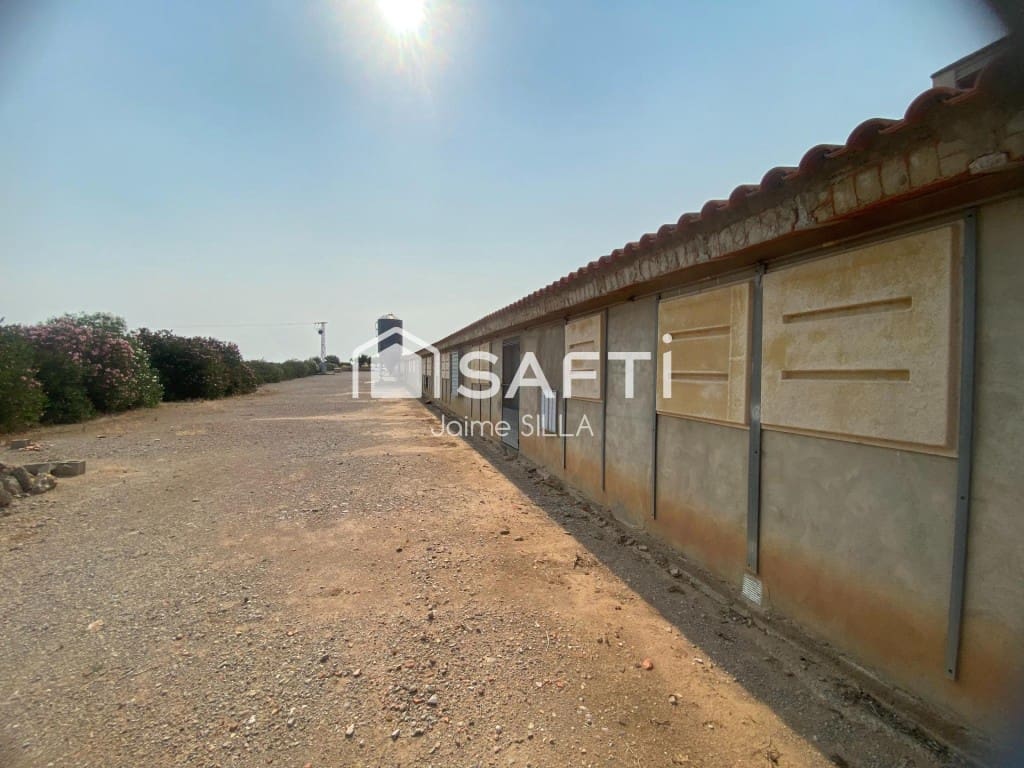 Undeveloped Land for sale in Alcublas - € 120,000 (Ref: 9595749)