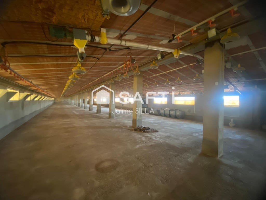 Undeveloped Land for sale in Alcublas - € 120,000 (Ref: 9595749)