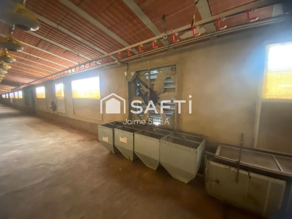 Undeveloped Land for sale in Alcublas - € 120,000 (Ref: 9595749)