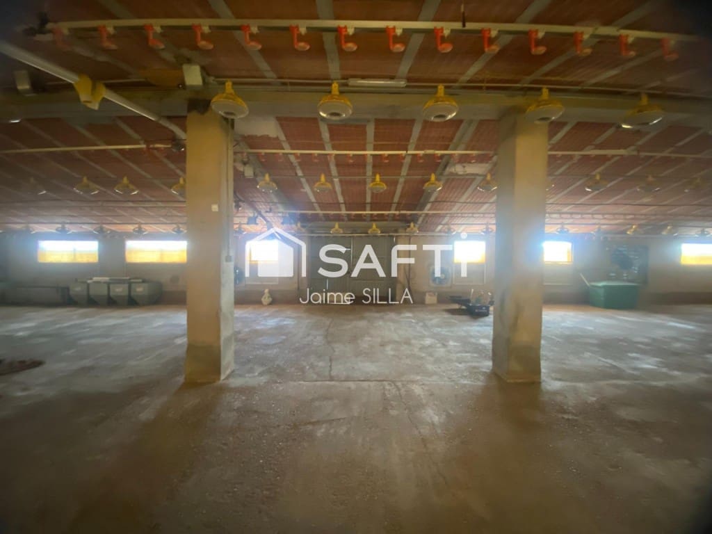 Undeveloped Land for sale in Alcublas - € 120,000 (Ref: 9595749)