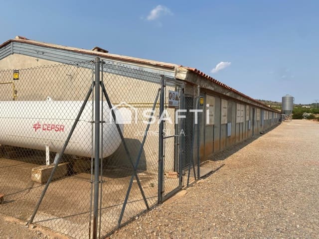 Grunde uden byggetilladelser til salg i Alcublas - € 120.000 (Ref: 9595749)