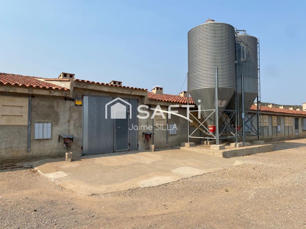 Undeveloped Land for sale in Alcublas - € 120,000 (Ref: 9595749)