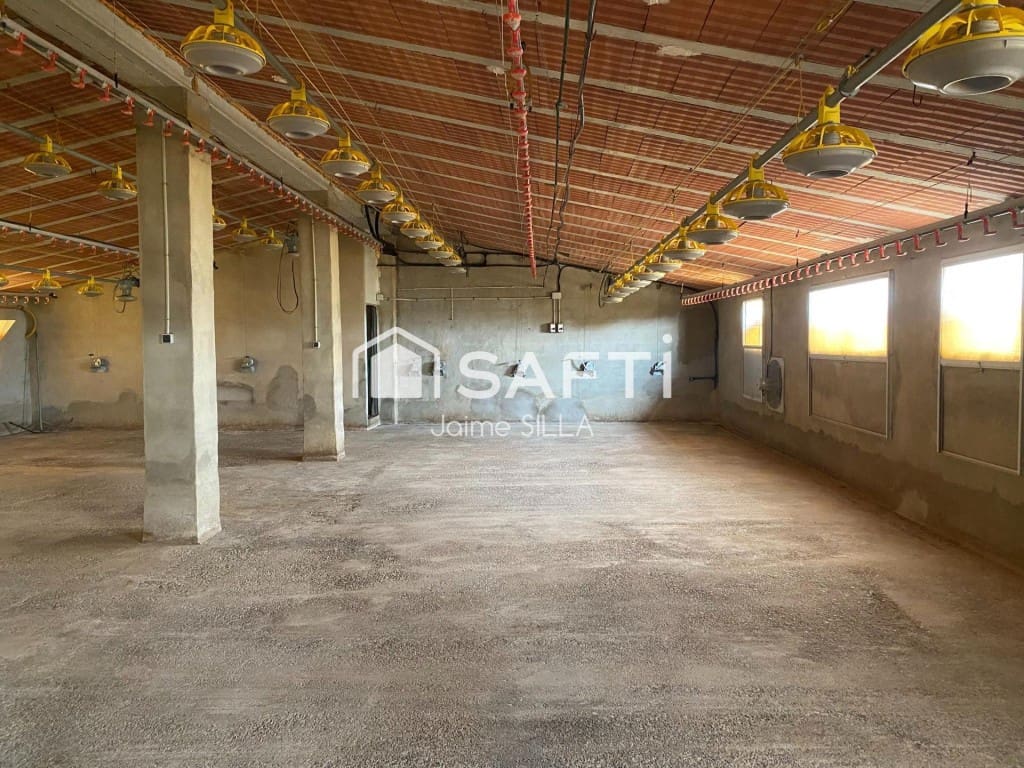 Undeveloped Land for sale in Alcublas - € 120,000 (Ref: 9595749)