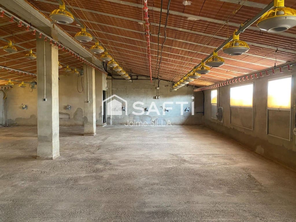 Undeveloped Land for sale in Alcublas - € 120,000 (Ref: 9595749)