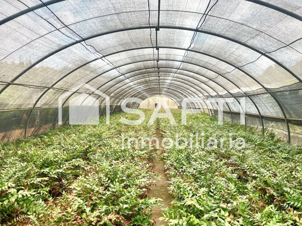 Grond te koop in Alfarp - € 228.000 (Ref: 9595755)