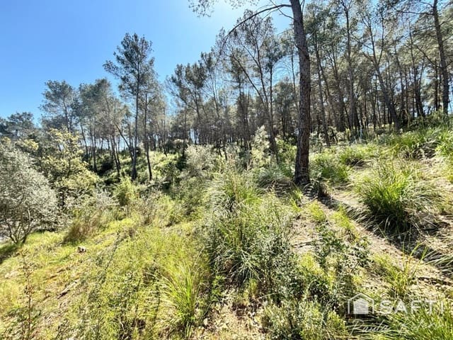 Bouwgrond te koop in Olivella - € 44.000 (Ref: 9595766)