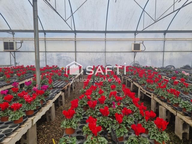 Grunde uden byggetilladelser til salg i Sant Cebrià de Vallalta - € 380.000 (Ref: 9595794)