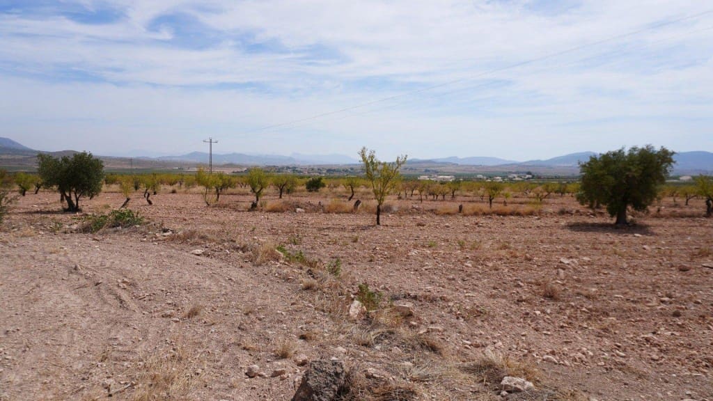 Ubebygd land til salgs i Raspay - € 49 000 (Ref: 9595817)