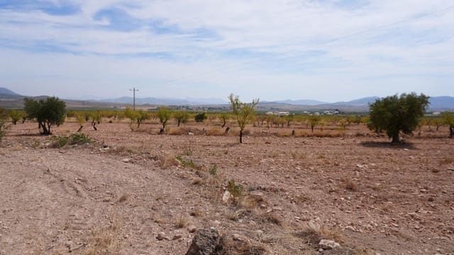 Ubebygd land til salgs i Raspay, Yecla - € 49 000 (Ref: 9595817)