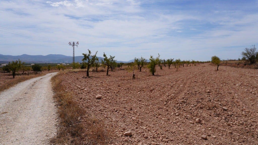 Ubebygd land til salgs i Raspay - € 49 000 (Ref: 9595817)