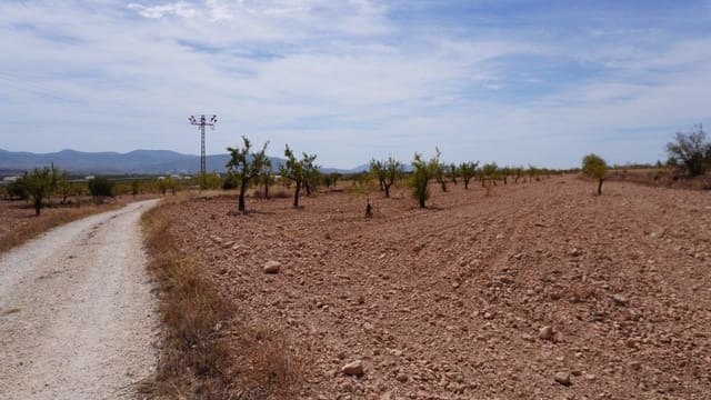 Ubebygd land til salgs i Raspay, Yecla - € 49 000 (Ref: 9595817)