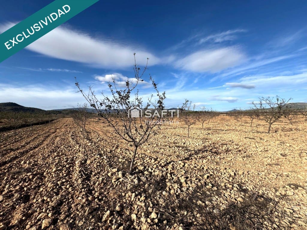 Terreno Non Edificato in vendita in Monovar / Monover - 22.900 € (Rif: 9595829)