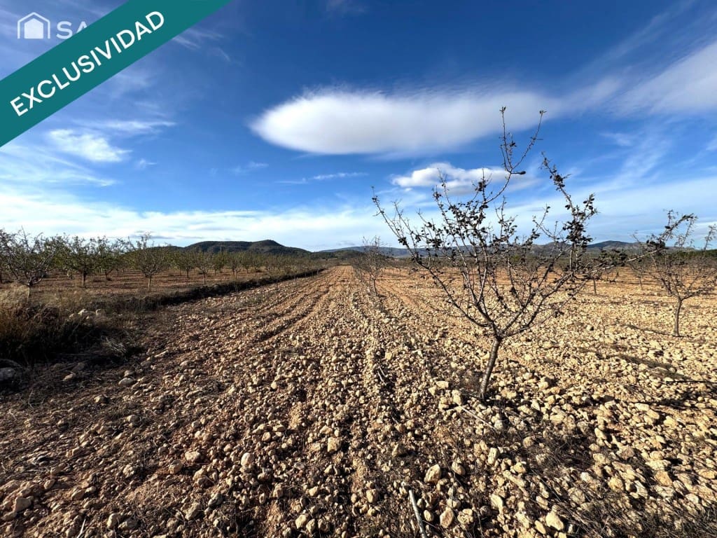 Terreno Non Edificato in vendita in Monovar / Monover - 22.900 € (Rif: 9595829)